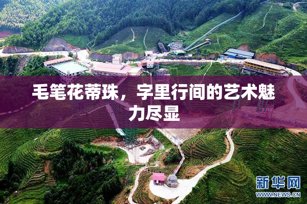 毛笔花蒂珠，字里行间的艺术魅力尽显