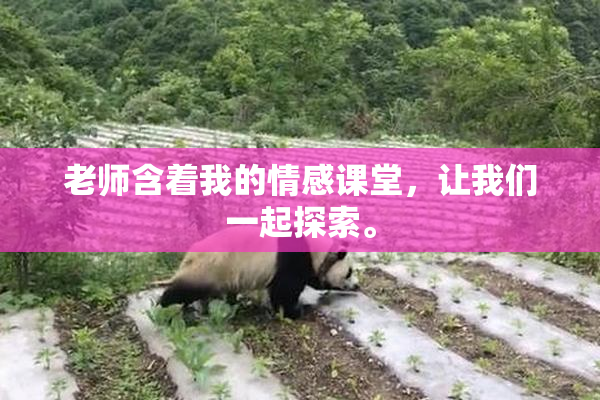 老师含着我的情感课堂，让我们一起探索。