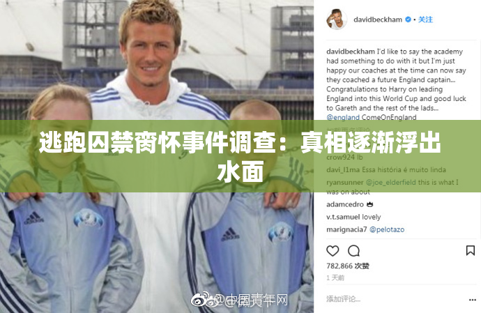 逃跑囚禁脔怀事件调查：真相逐渐浮出水面