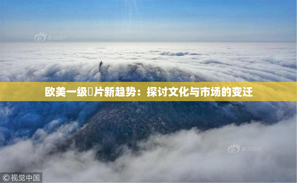 欧美一级婬片新趋势：探讨文化与市场的变迁