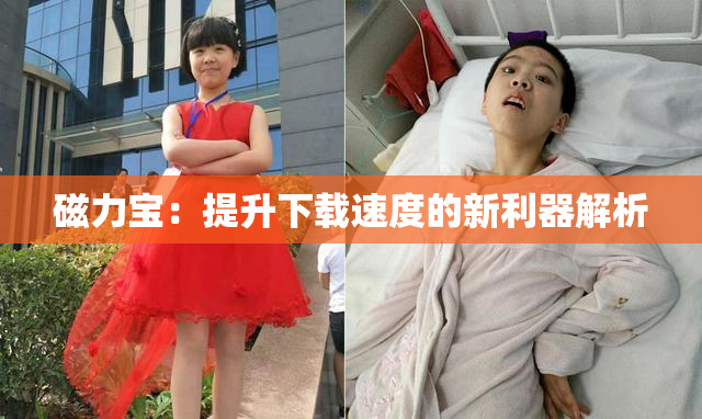 磁力宝：提升下载速度的新利器解析