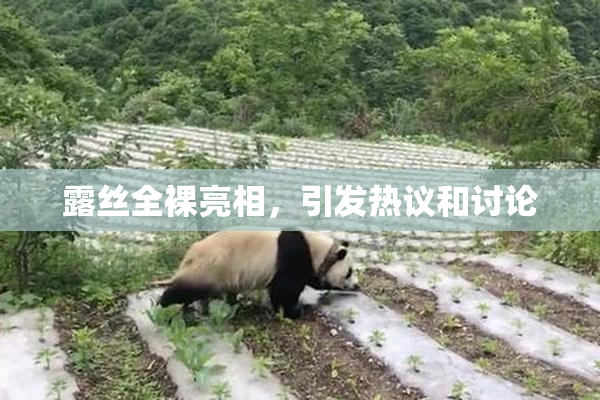 露丝全裸亮相，引发热议和讨论