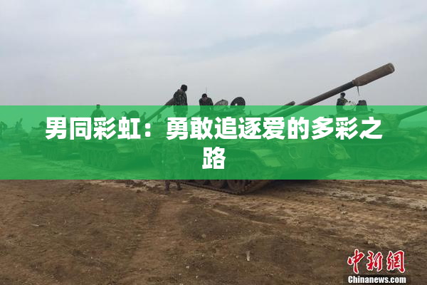 男同彩虹：勇敢追逐爱的多彩之路