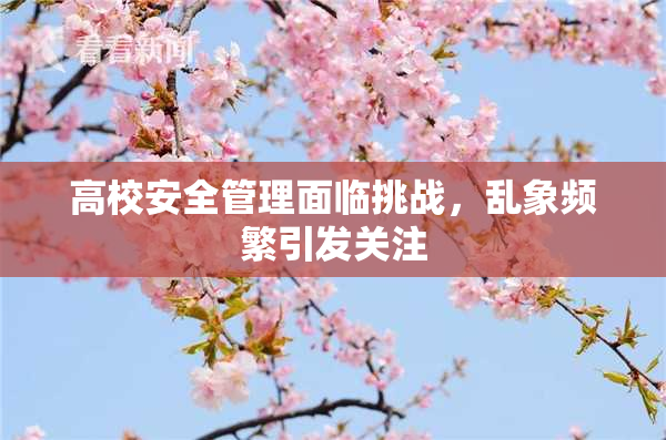 高校安全管理面临挑战，乱象频繁引发关注