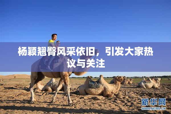 杨颖翘臀风采依旧，引发大家热议与关注