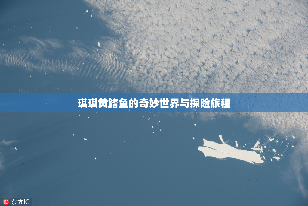 琪琪黄鳍鱼的奇妙世界与探险旅程