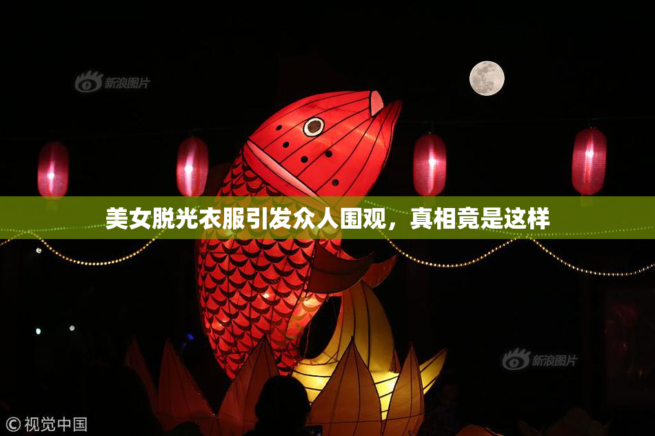 美女脱光衣服引发众人围观，真相竟是这样