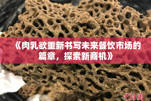 《肉乳欲重新书写未来餐饮市场的篇章，探索新商机》