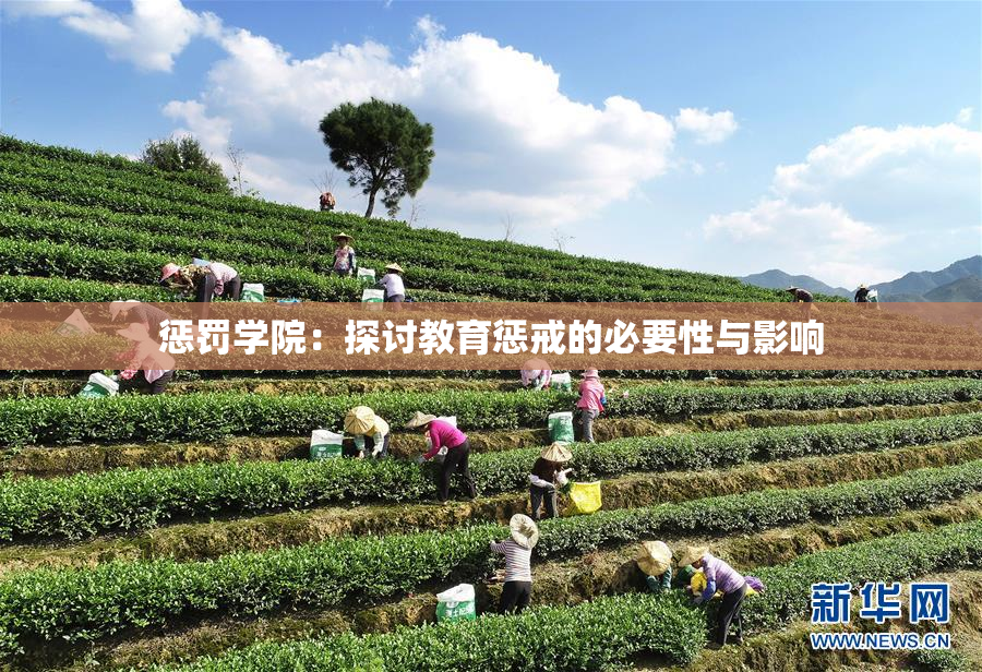 惩罚学院：探讨教育惩戒的必要性与影响
