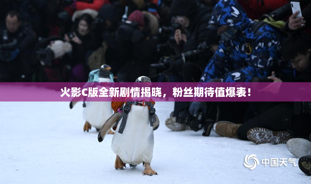火影C版全新剧情揭晓，粉丝期待值爆表！