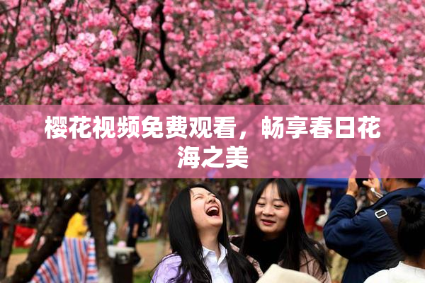 樱花视频免费观看，畅享春日花海之美