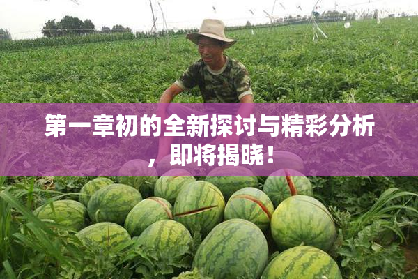 第一章初的全新探讨与精彩分析，即将揭晓！