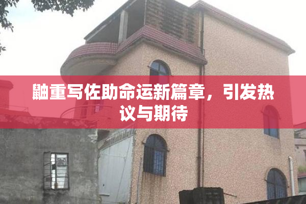 鼬重写佐助命运新篇章，引发热议与期待