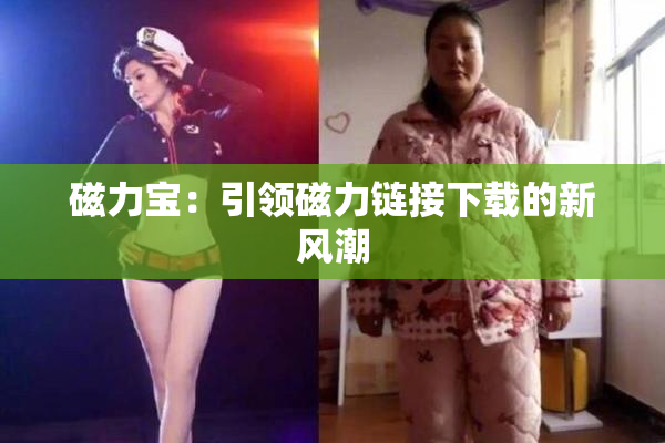 磁力宝：引领磁力链接下载的新风潮