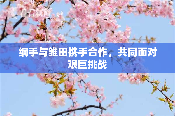 纲手与雏田携手合作，共同面对艰巨挑战