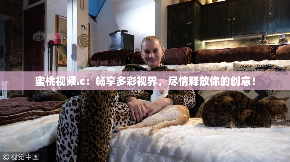 蜜桃视频.c：畅享多彩视界，尽情释放你的创意！