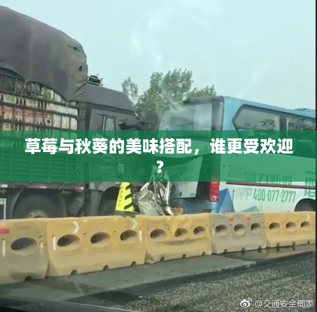 草莓与秋葵的美味搭配，谁更受欢迎？