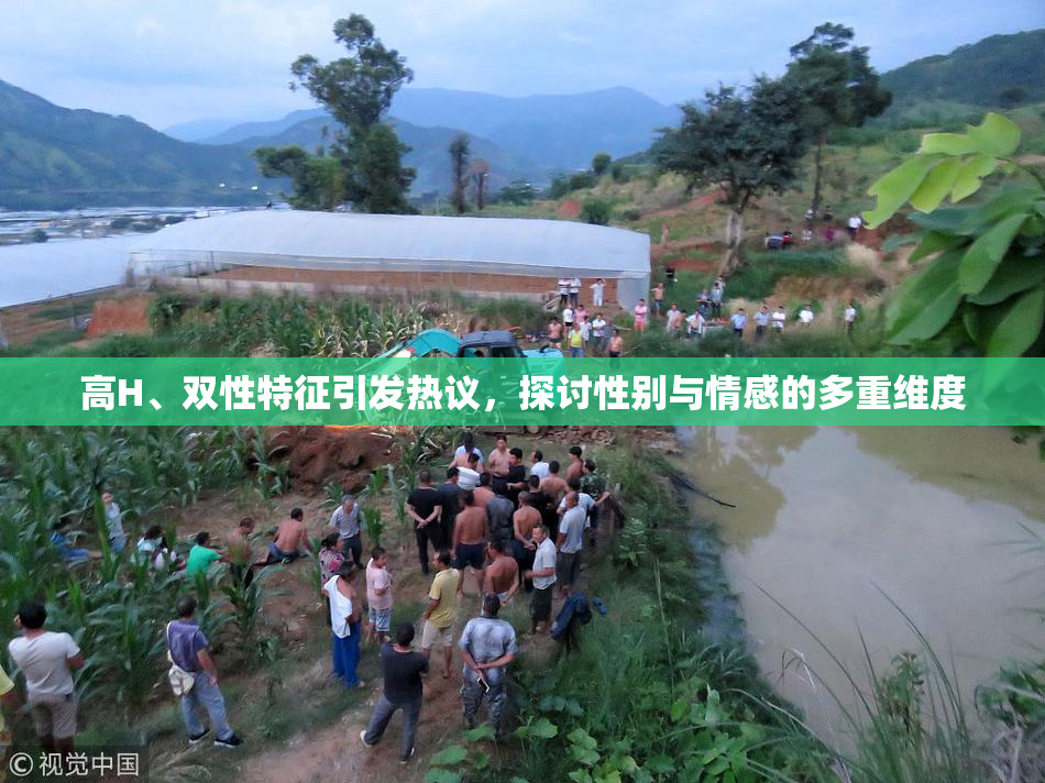 高H、双性特征引发热议，探讨性别与情感的多重维度