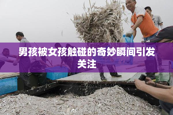 男孩被女孩触碰的奇妙瞬间引发关注