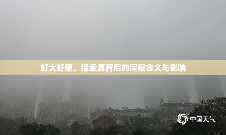 好大好硬，探索其背后的深层含义与影响