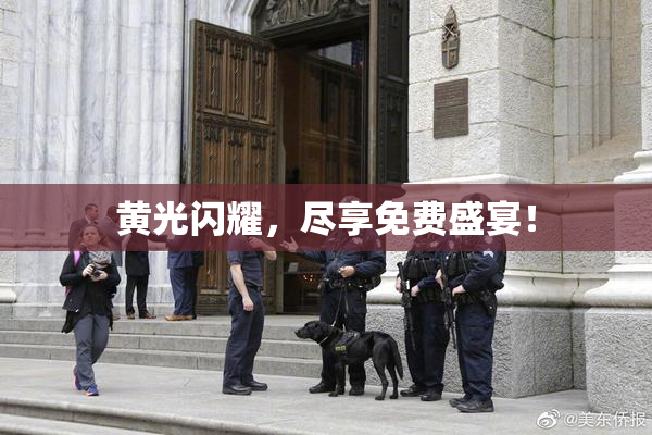 黄光闪耀，尽享免费盛宴！
