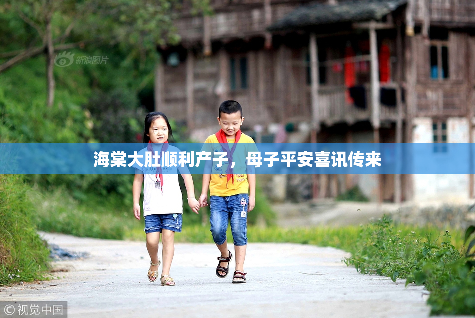 海棠大肚顺利产子，母子平安喜讯传来