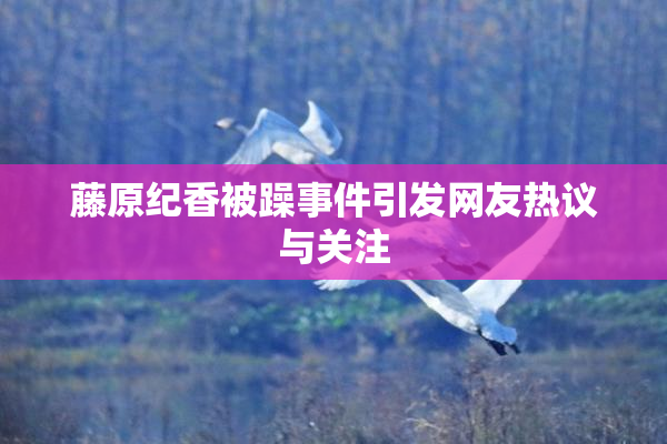 藤原纪香被躁事件引发网友热议与关注