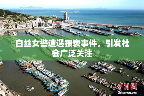 白丝女警遭遇猥亵事件，引发社会广泛关注