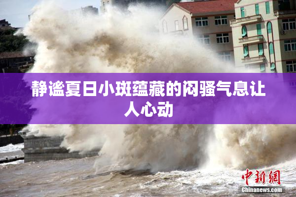 静谧夏日小斑蕴藏的闷骚气息让人心动