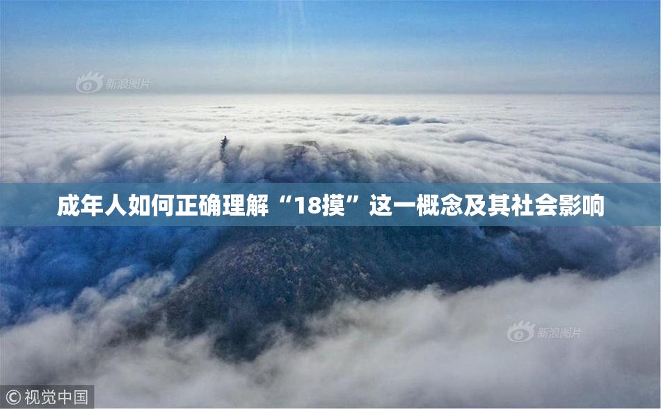 成年人如何正确理解“18摸”这一概念及其社会影响