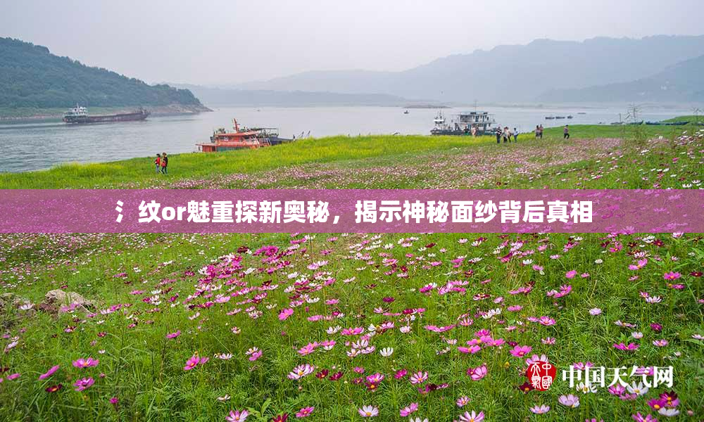 氵纹or魅重探新奥秘，揭示神秘面纱背后真相