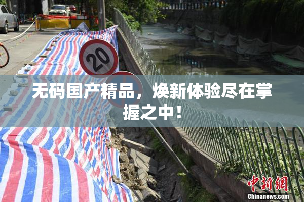 无码国产精品，焕新体验尽在掌握之中！
