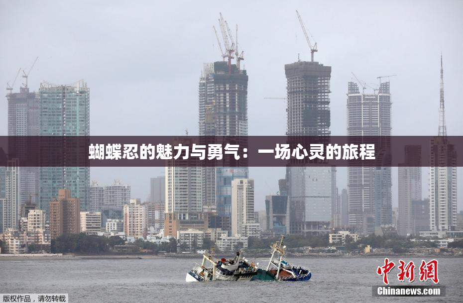 蝴蝶忍的魅力与勇气：一场心灵的旅程