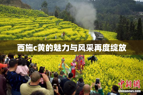 西施c黄的魅力与风采再度绽放