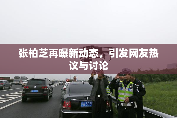 张柏芝再曝新动态，引发网友热议与讨论