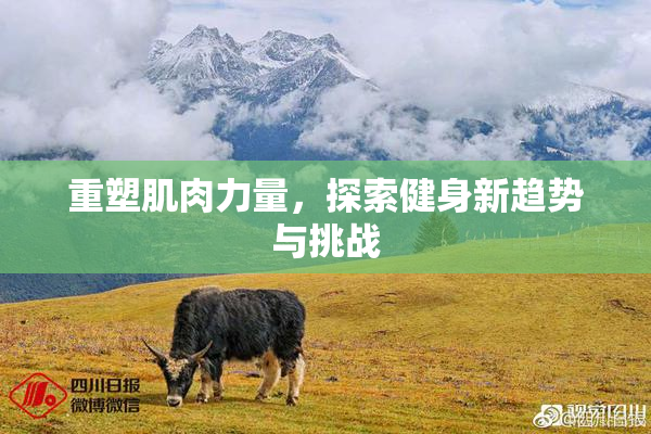 重塑肌肉力量，探索健身新趋势与挑战
