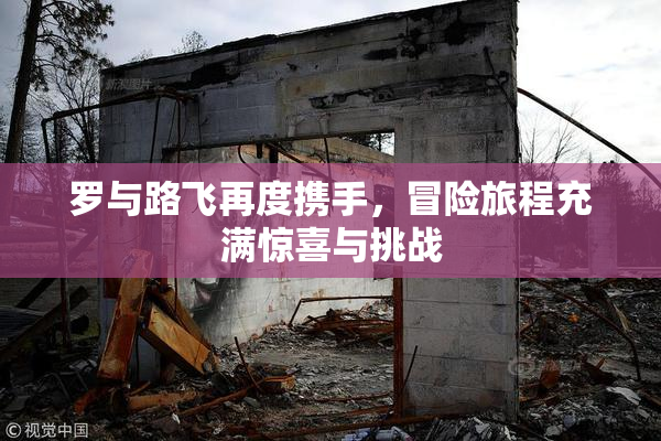 罗与路飞再度携手，冒险旅程充满惊喜与挑战