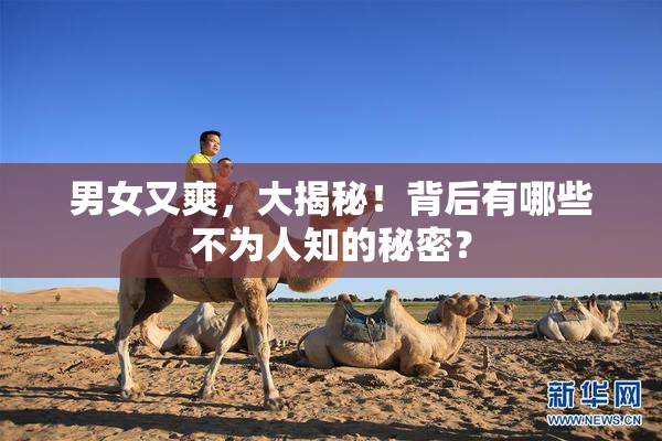 男女又爽，大揭秘！背后有哪些不为人知的秘密？