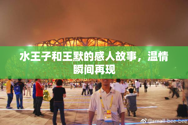 水王子和王默的感人故事，温情瞬间再现