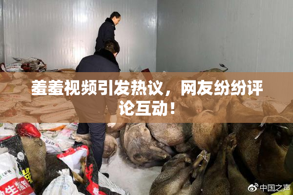 羞羞视频引发热议，网友纷纷评论互动！