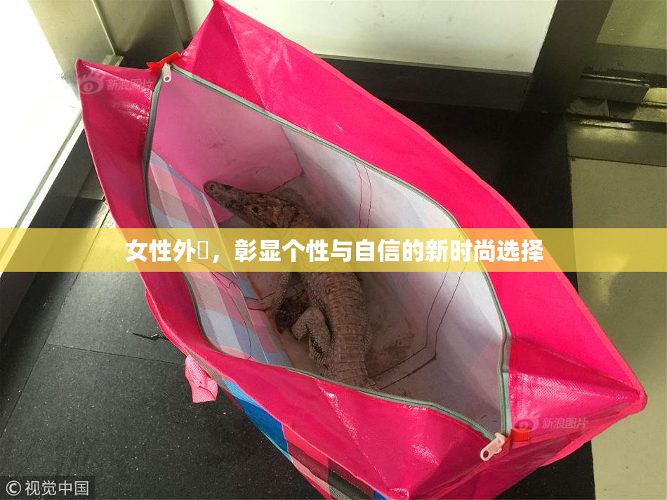 女性外夝，彰显个性与自信的新时尚选择