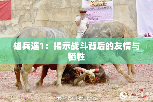雄兵连1：揭示战斗背后的友情与牺牲