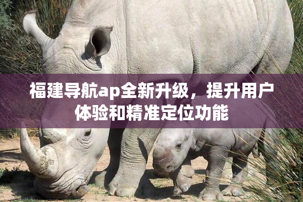 福建导航ap全新升级，提升用户体验和精准定位功能