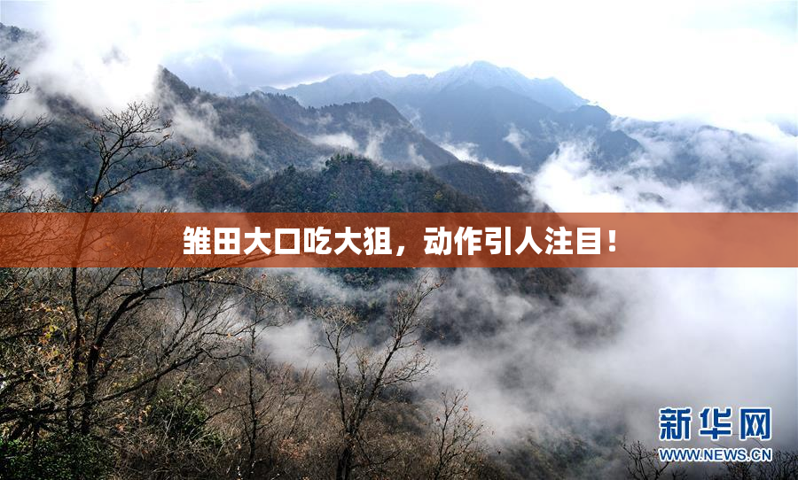 雏田大口吃大狙，动作引人注目！