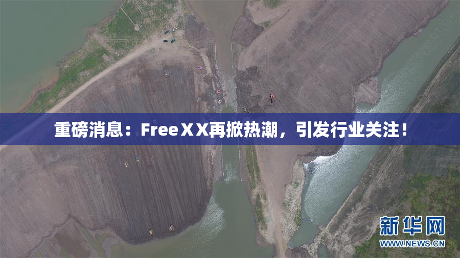 重磅消息：FreeⅩX再掀热潮，引发行业关注！