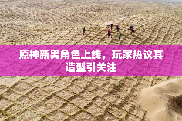 原神新男角色上线，玩家热议其造型引关注