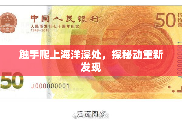 触手爬上海洋深处，探秘动重新发现