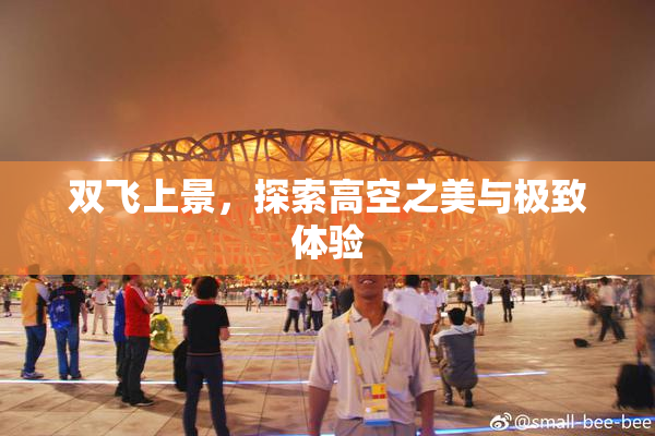 双飞上景，探索高空之美与极致体验