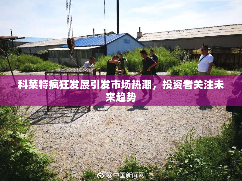 科莱特疯狂发展引发市场热潮，投资者关注未来趋势