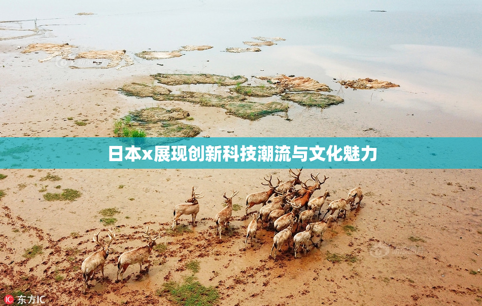 日本x展现创新科技潮流与文化魅力